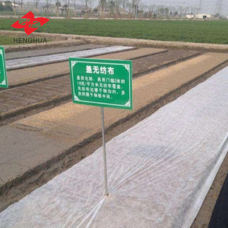 قماش هينغوا غير منسوج من البولي بروبيلين بوزن 75 جرامًا للمتر المربع، مصنوع من ألياف البولي بروبيلين غير المنسوجة بتقنية سبونبوند، مناسب لأكياس التسوق.