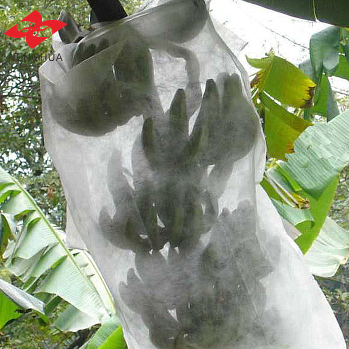 قماش غير منسوج من البولي بروبيلين المغزول للاستخدام الزراعي | غطاء نباتي مقاوم للأشعة فوق البنفسجية وقماش لحماية المحاصيل